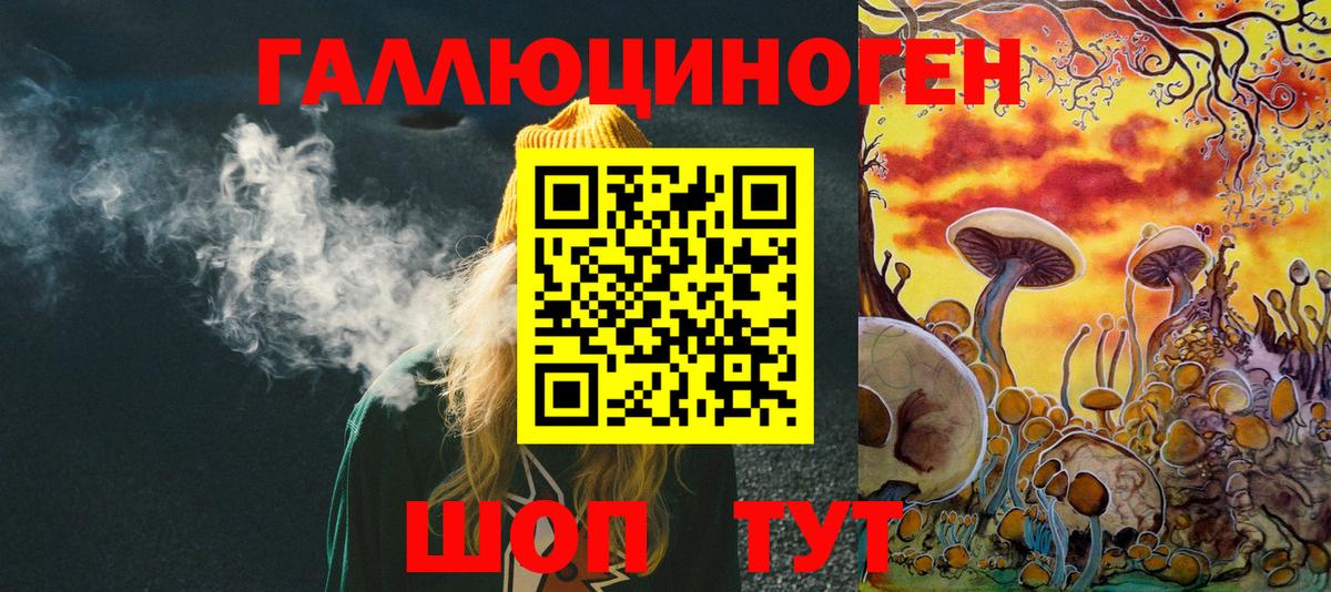 Черкесск  Псилоцибиновые грибы Magic Shrooms  Псилоцибиновые грибы Psilocybe  Вход с VPN 