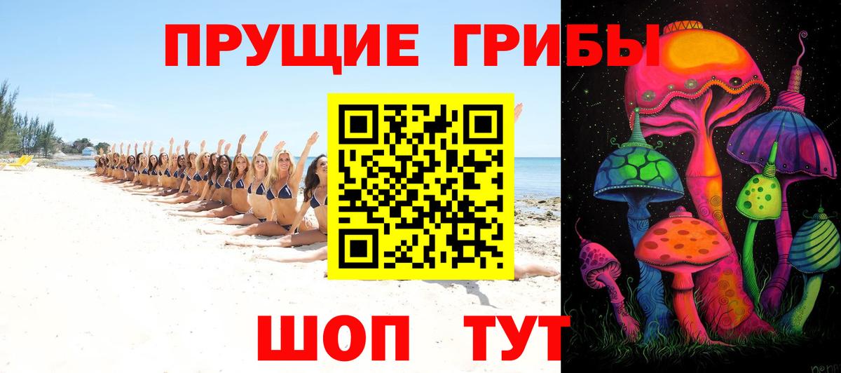 Псилоцибиновые грибы Magic Shrooms Черкесск