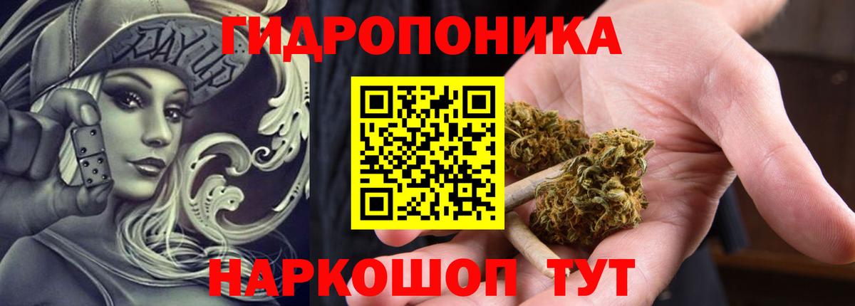 Бошки марихуана OG Kush  Вход с VPN  Марихуана AK-47  Черкесск  Марихуана Ganja 